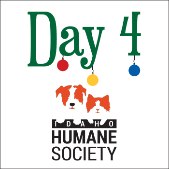 J&D Heating, Cooling & Water Team